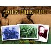 Dien Bien Phu Ladder