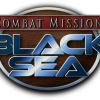 Combat Mission: Black Sea Ladder