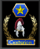 Centurion Gold Medal