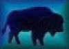 Buffaloes's avatar