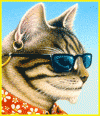 Kool Kat's avatar