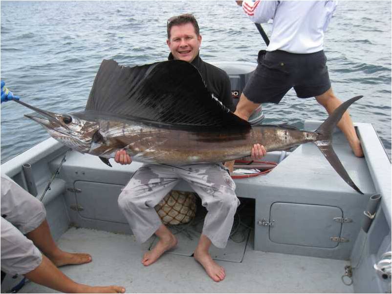 [Image: DSailfish.JPG]