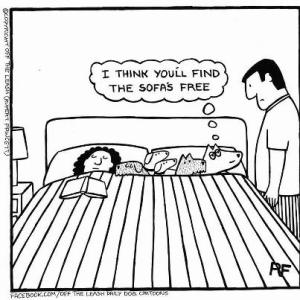 [Image: b4355ab3c4dogs-in-bed-cartoon.jpg]