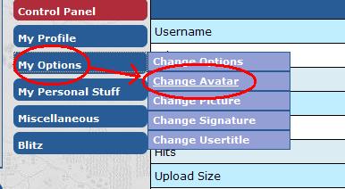 [Image: d56ed50db9Change%20Avatar.JPG]